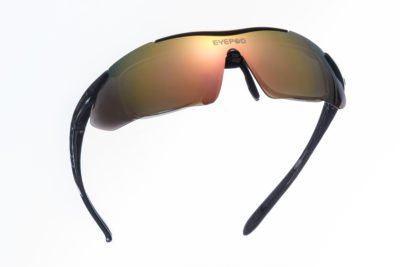 Hawk (Replacement Parts or Prescription)